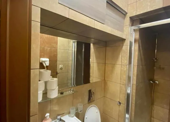 Apartment The Center Rzeszow